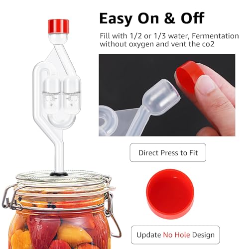 6 Pack Twin Bubble Airlocks for Homebrewing & Fermentation