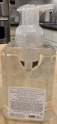 Michel Design Works Foaming Hand Soap, Eucalyptus Mint - Moisturizing