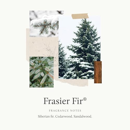 Thymes Frasier Fir Exfoliating Bar Soap - Triple-Milled Pine Scented Soap