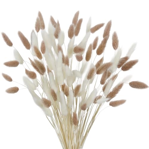 CISDUEO 120pcs Dried Bunny Tails Flowers for Boho Decor