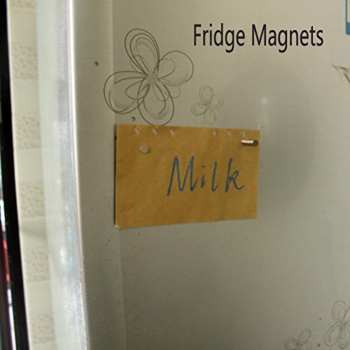 WARMBUY 100Pcs Mini Round Magnets - 8mm Disc Fridge & Office Use