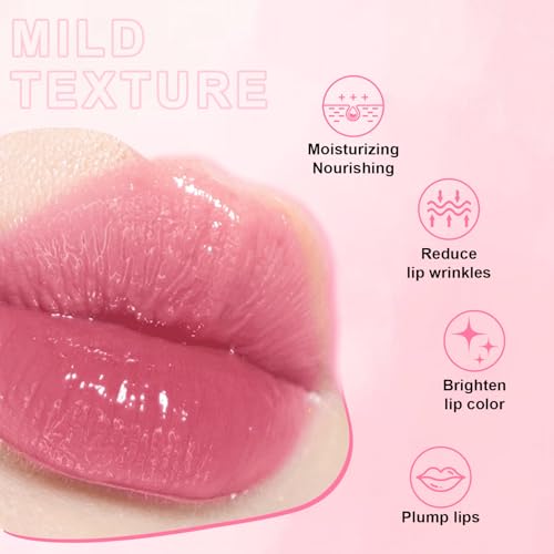 Meilury 6PCS Hydrating Lip Oil Set with Big Brush, Clear Nourishing Lip Gloss