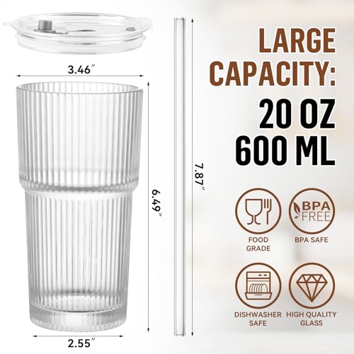 CWHHRN 20 Oz Glass Cups with Lid & Straw - Set of 2