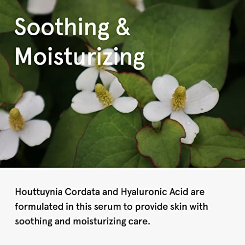 ONE THING Houttuynia Cordata Serum - Hydrating Facial Ampoule with Hyaluronic Acid for Sensitive, Acne-Prone Oily Skin, 2.7 Fl Oz