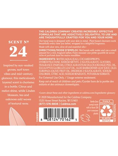 Caldrea Tangelo Palm Frond Hand Soap - Moisturizing Liquid Soap, 10.8 Oz