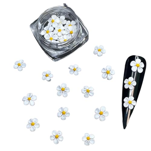 30Pcs Handmade 3D Acrylic Flower Nail Charms for Professional Nail Art