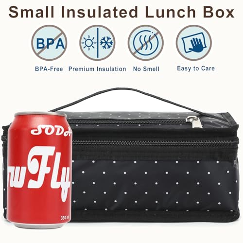 FlowFly Portable Insulated Lunch Bag - Mini Cooler Tote for Work