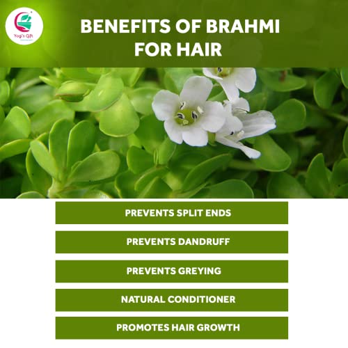 Yogi's Gift Brahmi Powder for Hair Growth - Bacopa Monnieri, 8 oz