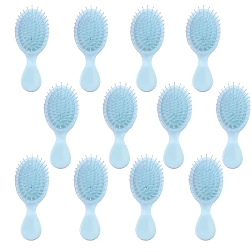 AESPAKO 12 Pack Mini Travel Hair Brushes - Blue, All Hair Types