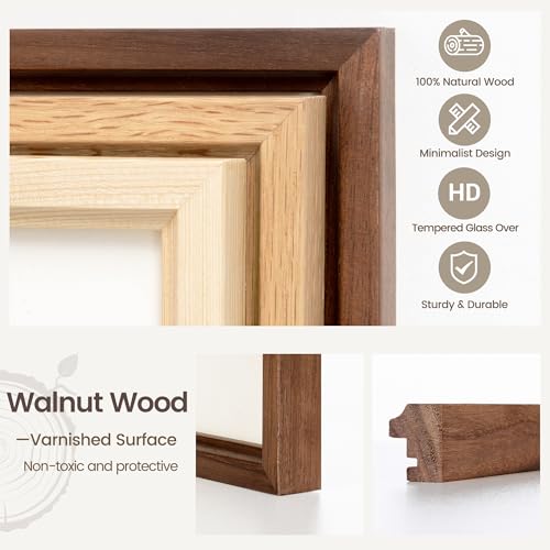 Natural Walnut Wood 8x10 Picture Frame with Glass - Tabletop or Wall Display