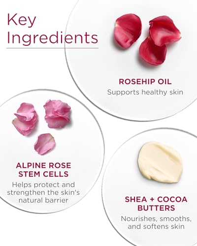 Andalou Naturals Velvet Soft Body Butter with Rose Stem Cells - 8 oz