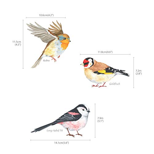 DECOWALL Little Birds Kids Wall Stickers - Removable Decals for Nursery