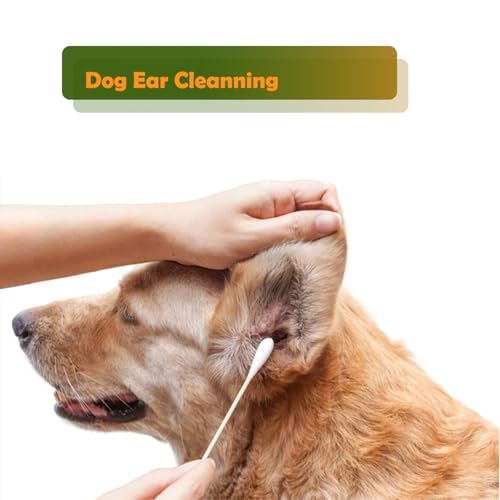 100 Pack 6-Inch Bamboo Cotton Swabs for Pet Care & Cleaning