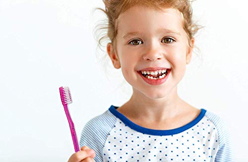 Bubblegum Kids Prepasted Toothbrushes - 36 Pack, Soft Bristles