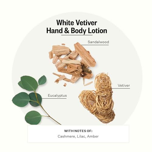 APOTHEKE White Vetiver Hand & Body Lotion - 10 Fl Oz Moisturizer