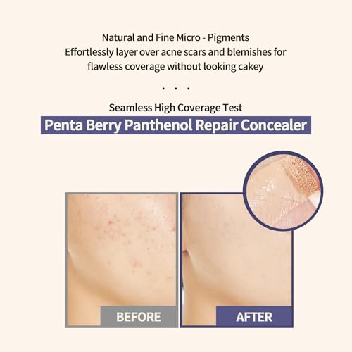 HEVEBLUE Penta Berry Panthenol Repair Concealer - Ivory, Full Coverage
