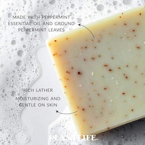 Plantlife Peppermint Natural Bar Soap 2-Pack - Handcrafted Vegan 4 oz