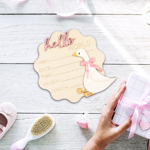 FYSUIMU Silly Goose Newborn Milestone Sign with Pink Bow