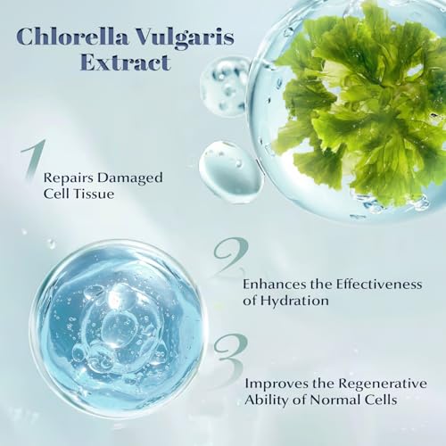 Chlorella Deep Hydrating Mask Pack of 5 with Bio-Collagen & Hyaluronic Acid