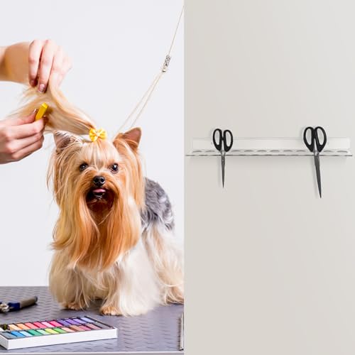 Briwooody 12 Slot Acrylic Wall Mounted Scissor Organizer - Hair Stylist Tool Rack (Variation 1)