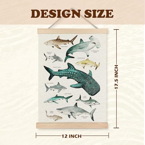 Supwhd Shark Wall Art with Wooden Frame - 12x16 Ocean Decor