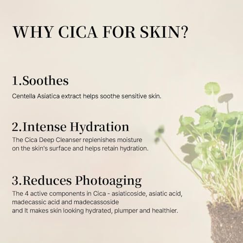 Centella Asiatica Essence - Soothing & Hydrating 30ml (Pack of 1)