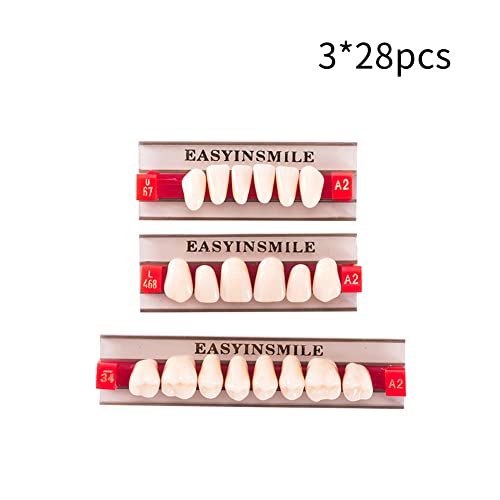 Easyinsmile Full Set Synthetic Resin Teeth A2 / A3 Replacement Dentures Halloween Props