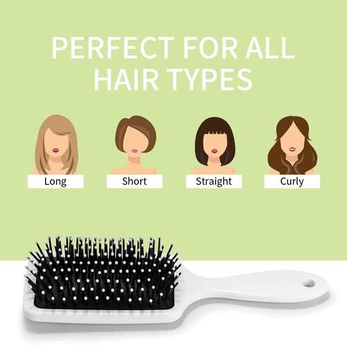 Cool Dinosaur Hair Brush for Kids & Adults - Anti-Static Detangler