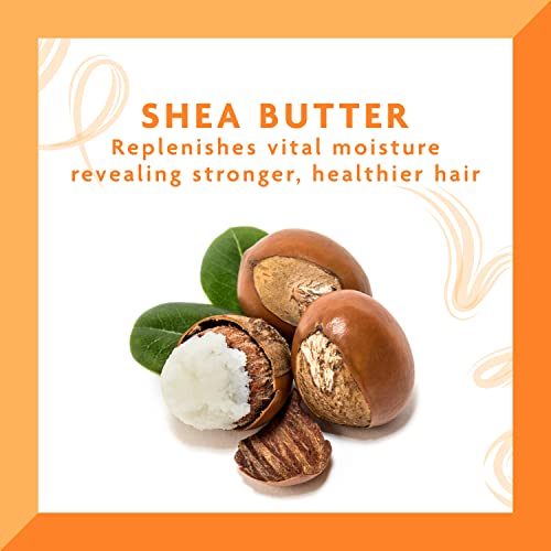 Cantu Hair Dressing Pomade with Shea Butter, 4 Ounce Pack of 3