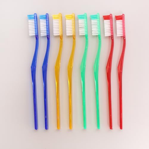 Adult Hard Bristle Toothbrush Pack of 12 - Firm Oral Care for Smokers