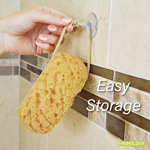 Evriholder GROOVI BEAUTY Foam Body Sponge – Pack of 2 Exfoliating Large Bath Scrubbers
