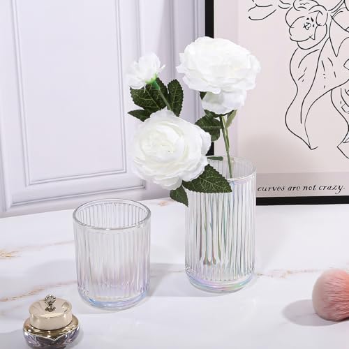 DASITON Colorful Crystal Glass Makeup Brush Holder Organizer, Vanity & Bathroom Storage