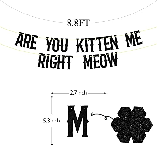 Are You Kitten Me Right Meow Banner - Black Glitter Cat Birthday Decor