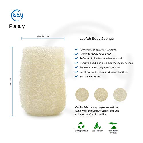FAAY 4 Pcs Natural Egyptian Loofah Bath Sponges - 6" Exfoliating Spa Scrubbers