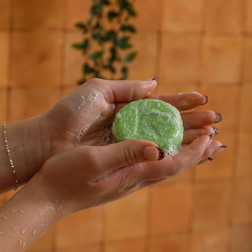 Seek Bamboo Tea Tree Shampoo Bar for Oily Hair | Natural & Sulfate-Free