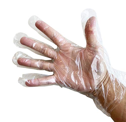 KingSeal Medium Disposable Gloves | 500 Count, Powder-Free, Food Safe