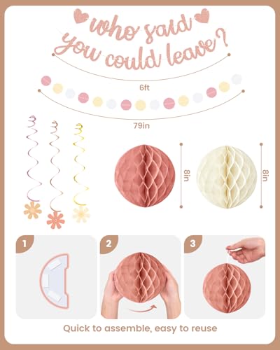 Elegant Pink Rose Gold Farewell Party Decorations Kit