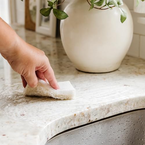 Full Circle Coconut Scrubber Sponges - Pack of 6, Dual-Sided, Eco-Friendly