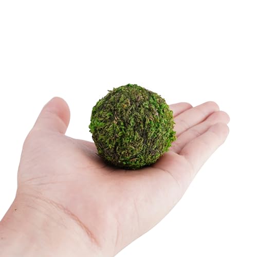 12-Pack Decorative Moss Balls - 2” Bowl Fillers for Centerpieces