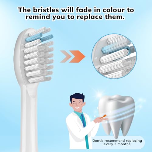 Replacement Toothbrush Heads for Waterpik Sonic Fusion, 3 Pack White