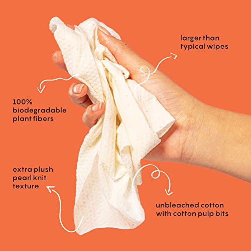 BusyCo Refresh Line Deodorant Wipes - Fresh Citrus, 15 Count - Zinc & Probiotics for Odor Control