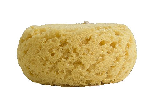 Evriholder GROOVI BEAUTY Foam Body Sponge – Pack of 2 Exfoliating Large Bath Scrubbers