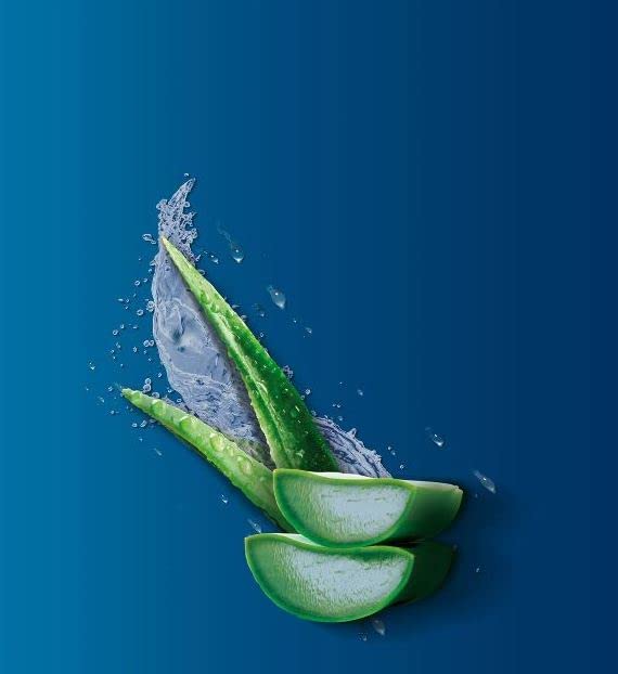 Vaseline Aloe Lotion 10oz - Intensive Hydrating Moisturizer for Dry Skin