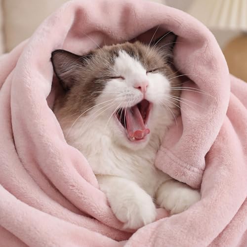 Bedsure GentleSoft Pink Throw Blanket - 50x60 Inches Cozy Fleece