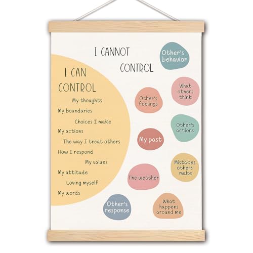 Things I Can Control Mental Health Poster with Hanger Frame - 12.5x17