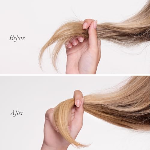 L'ANGE HAIR Backtogether Split End Sealer - Leave-In Conditioner for Frizz Control & Repair - 1.7 oz