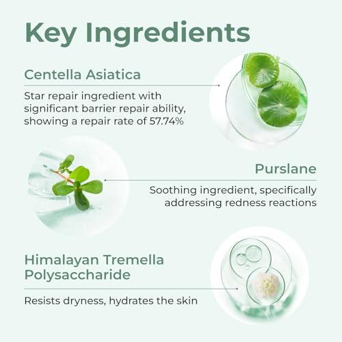 Centella Asiatica Soothing Mask - 5 Pcs Freeze-Dried Hydration