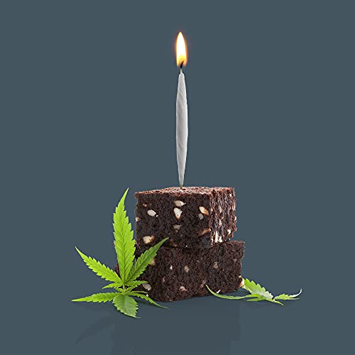 Lit Party Candles - Set of 8 Fun & Unique Birthday Candles
