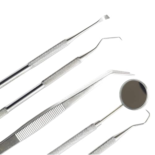 5-Piece Dental Hygiene Set - Stainless Steel Tartar Remover & Tools
