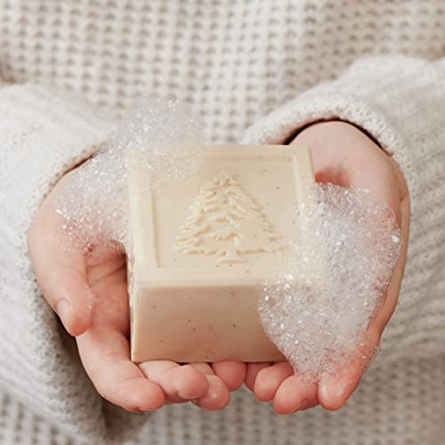 Thymes Frasier Fir Exfoliating Bar Soap - Triple-Milled Pine Scented Soap